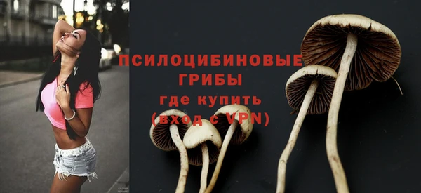 скорость Алзамай