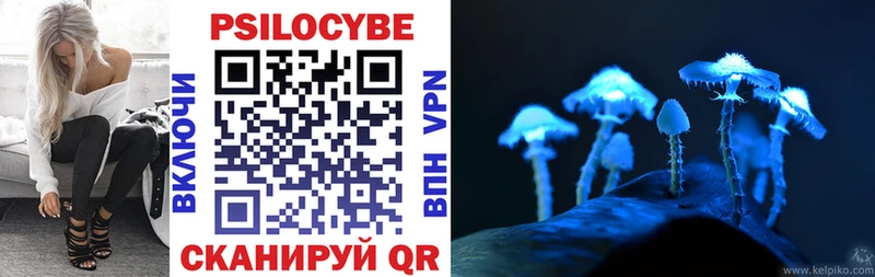 Псилоцибиновые грибы Psilocybine cubensis Невьянск
